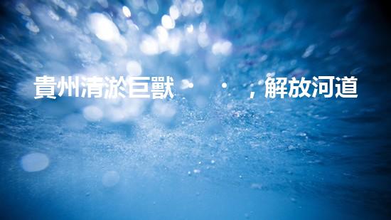貴州清淤巨獸，解放河道疑團(tuán)！